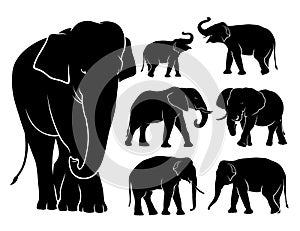 Silhouettes of elephants