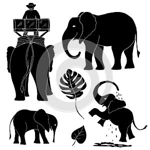 Silhouettes of elephants for different design