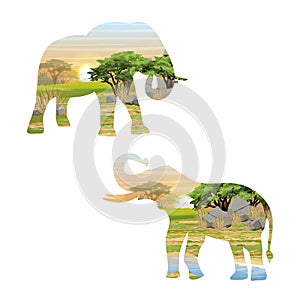 Silhouettes of elephants with landscapes of Africa. African bush