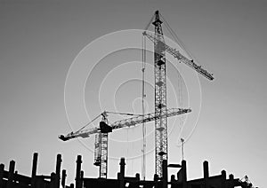 Silhouettes of elevating cranes 1