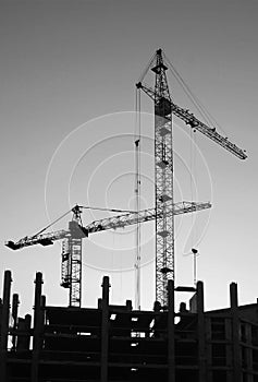 Silhouettes of elevating cranes