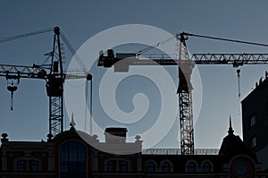 Silhouettes of elevating cranes