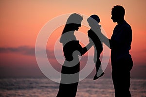 Silhouettes of family on hands against sea decline