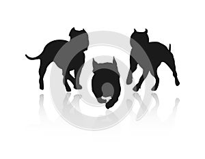 Silhouettes of fighting dogs.