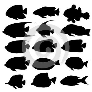 Silhouettes of fish and sea animals