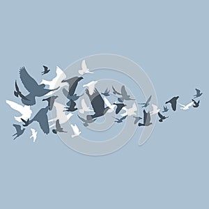 Silhouettes of flying birds, vector illustration