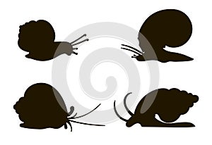Silhouettes of four snails