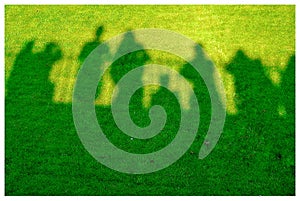 silhouettes on the grass photo