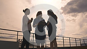 Silhouettes of a group of businessmen women against the sky and clouds. Girls in business clothes at a meeting.