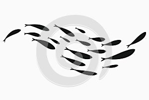 Silhouettes of groups of sea fishes. Colony of small fish. Icon with river taxers. Stylized logo. Black and white