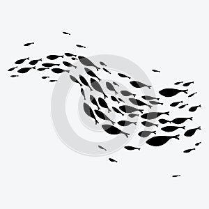 Silhouettes of groups of sea fishes. Colony of small fish. Icon with river taxers. Stylized logo. Black and white