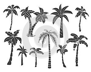 Silhouettes of hand drawn palms trees.
