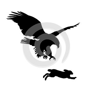 Silhouettes of a hare and eagle.