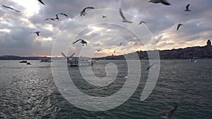 Silhouettes of historical peninsula, passenger ships with flying seagulls