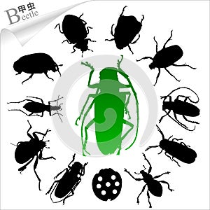 Silhouettes of insects - beetle