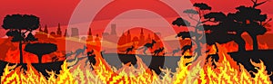 Silhouettes of kangaroos running from forest fires in australia animals dying in wildfire bushfire burning trees natural