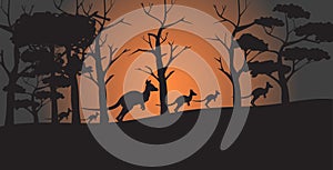 Silhouettes of kangaroos running from forest fires in australia animals dying in wildfire bushfire natural disaster