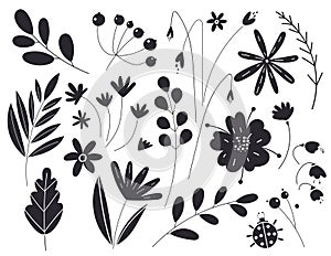 Silhouettes of leaves and flowers. Vector illustration in black color isolated on a white background. Botany plants