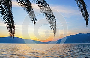 Silhouettes of leaves of palm tree against beautiful Mediterranean landscape at sunset. Montenegro