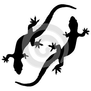 Silhouettes of lizards or salamanders. Illustration of reptiles, relatives of dragons