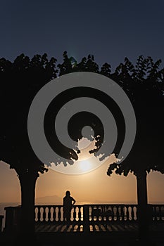 Silhouettes of a lonely girl. He stands alone and looks into the distance. Enjoys the moment. Palm trees and a bench. Sea view