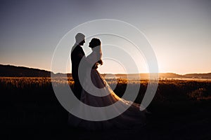 Silhouettes of luurious wedding couple hugging