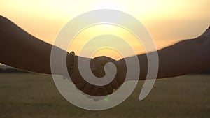 Silhouettes of male farmers shaking hands in the field during sunset. Agricultural business concept