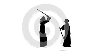Silhouettes, man, woman demonstrating aikido using bokken. Isolated. Close up.