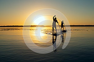 Silhouettes of men, friends paddling on a SUP boards