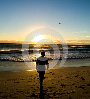 Silhouettes at miami beach sunrise