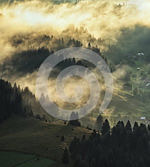 silhouettes of morning mountains. foggy morning in the Carpathians