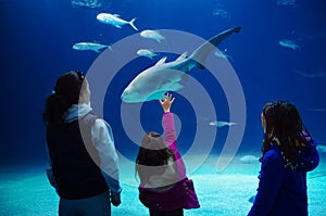 Silhouettes of mother with kids in oceanarium, family with children looking at shark and fishes in aquarium
