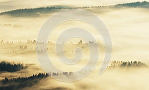 Silhouettes of mountains. A misty autumn morning. Dawn in the Carpathians