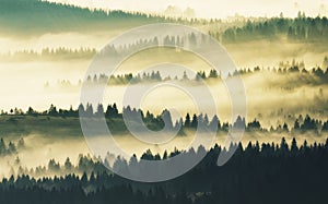 Silhouettes of mountains. A misty autumn morning. Dawn in the Carpathians