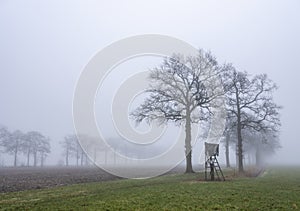 high seat for hunting in green winter field near utrecht in the netherlands on misty winter day
