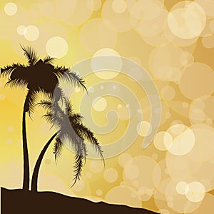 Silhouettes of palm trees against the background of solar patches of light and the sky