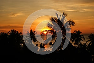 Silhouettes of palm trees and ship on the background of orange sunset on the sea