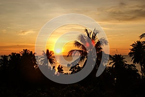 Silhouettes of palm trees and ship on the background of orange sunset on the sea