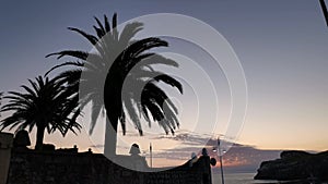 Silhouettes of palm trees at sunrise in Lekeitio