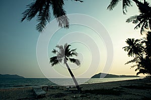 Silhouettes of palm trees on a tropical beach in the beautiful twilight. Nature.