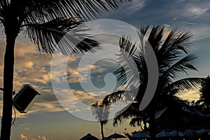 Silhouettes of palms during tropical sunset on paradise island Bali, Indonesia.