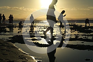 Silhouettes of people enjoying photographing sunset time by low tide at Ponta do Muta beach in Barra Grande, Brazil, South America