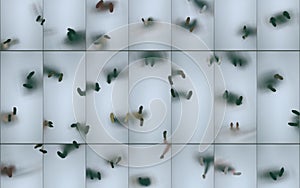 Silhouettes of people on a frosted glass floor in bottom view. Transparent glass floor between floors with reflection of human