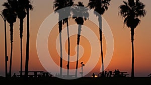 Silhouettes of people and palm trees on beach at sunset, California coast, USA.