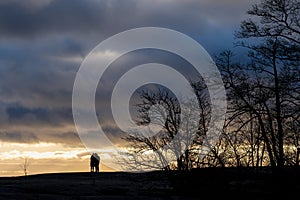 Silhouettes of people standing atop sand dunes at sunrise with dark