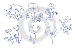 silhouettes of poppies flowers. Eschscholzia plant - vector design elements