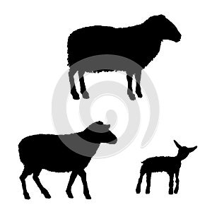 Silhouettes of Ram, Sheep and Lamp