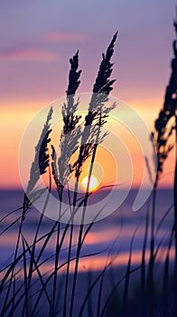 Silhouettes of reeds at sunset over water