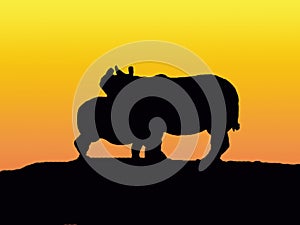 Silhouettes of rhinos photo