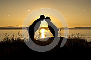 Silhouettes of romantic couple on tropical beach at sunset